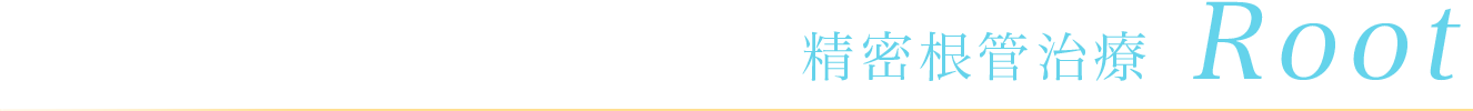 精密根管治療 Root